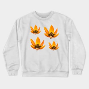 Tulips Crewneck Sweatshirt